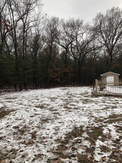 2576 E 82nd, Newaygo, MI 49337 photo 12