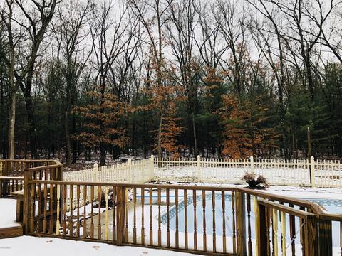 2576 E 82nd, Newaygo, MI 49337 photo 9