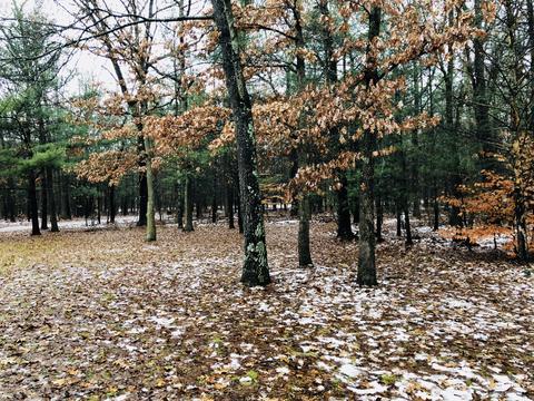 2576 E 82nd, Newaygo, MI 49337 photo 5