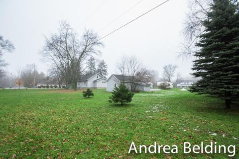 1425 W Ellis St, Belding, MI 48809 photo 5