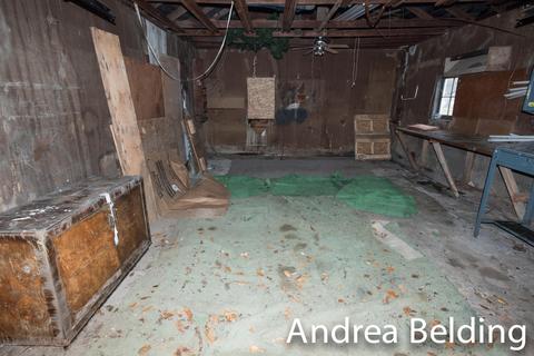 1425 W Ellis St, Belding, MI 48809 photo 22