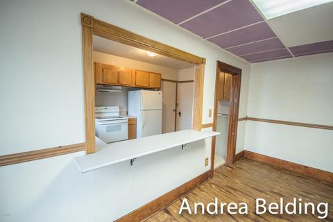 1425 W Ellis St, Belding, MI 48809 photo 12