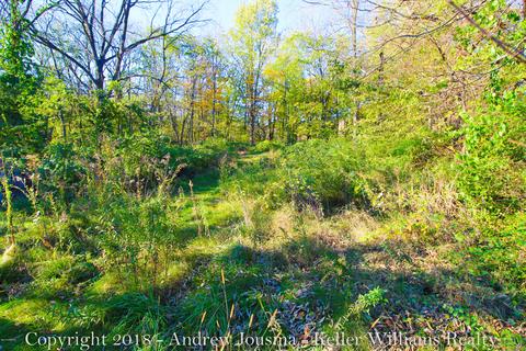 809 High St SE, Lowell, MI 49331 photo 19