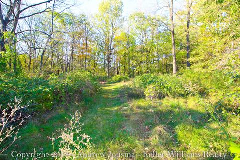 809 High St SE, Lowell, MI 49331 photo 18