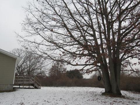 4414 E Barothy Rd, Custer, MI 49405 photo 4
