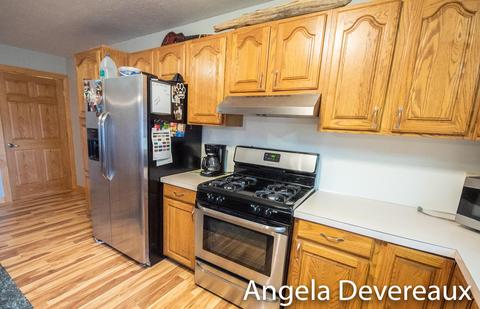 4011 E Shore Dr, Stanton, MI 48888 photo 4