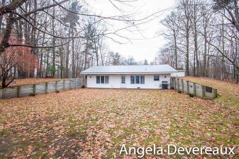 4011 E Shore Dr, Stanton, MI 48888 photo 1