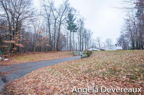 4011 E Shore Dr, Stanton, MI 48888 photo 19