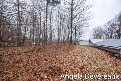 4011 E Shore Dr, Stanton, MI 48888 photo 22