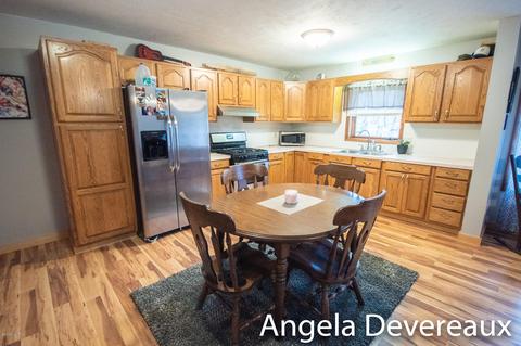 4011 E Shore Dr, Stanton, MI 48888 photo 2