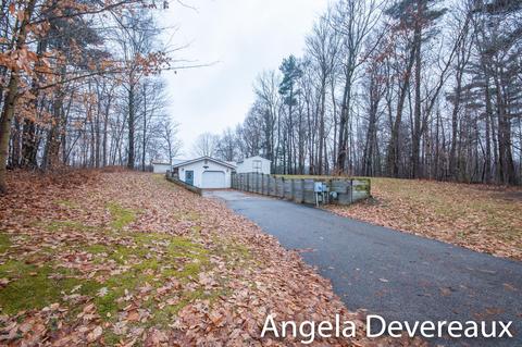 4011 E Shore Dr, Stanton, MI 48888 photo 24
