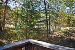 317 S Campbell Rd, Walhalla, MI 49458 photo 13
