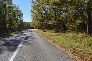 317 S Campbell Rd, Walhalla, MI 49458 photo 17