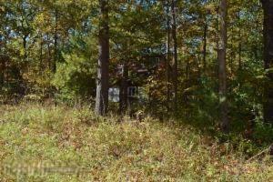 317 S Campbell Rd, Walhalla, MI 49458 photo 19