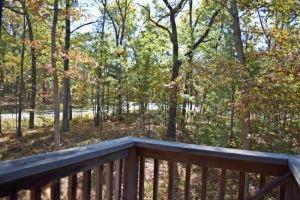 317 S Campbell Rd, Walhalla, MI 49458 photo 12