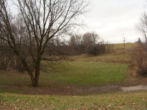 1587 Johnson Rd, Belding, MI 48809 photo 4
