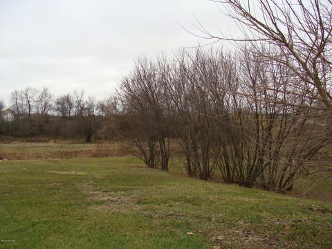 1587 Johnson Rd, Belding, MI 48809 photo 5