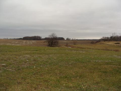 1587 Johnson Rd, Belding, MI 48809 photo 6