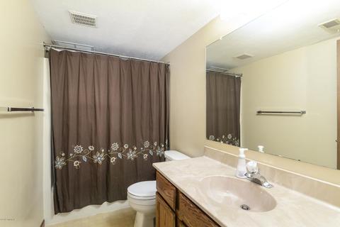 434 Corral Path, Lansing, MI 48917 photo 17