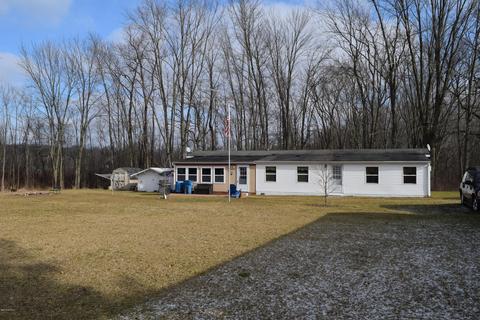 9242 Cox Dr, Reading, MI 49274 photo 1