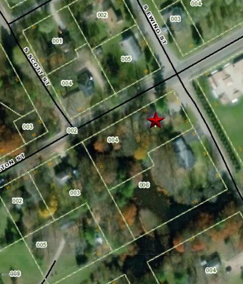 343 Ewing St, Newaygo, MI 49337 photo 32
