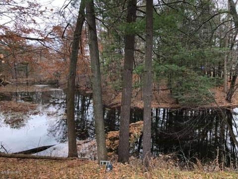 343 Ewing St, Newaygo, MI 49337 photo 9