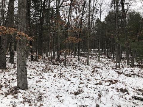 594 W 40th St, Baldwin, MI 49304 photo 3