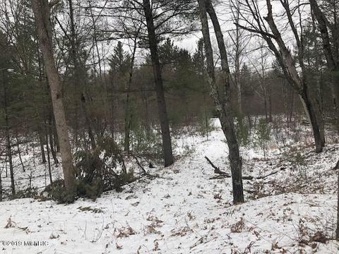 594 W 40th St, Baldwin, MI 49304 photo 5