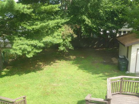 11 Maple St, Three Oaks, MI 49128 photo 14