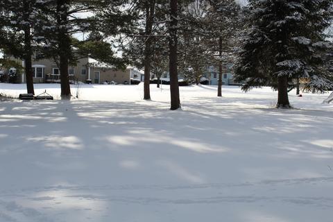 3133 Marvin Dr, Adrian, MI 49221 photo 2