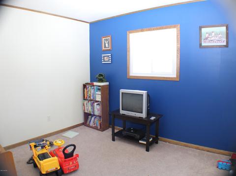 3133 Marvin Dr, Adrian, MI 49221 photo 9