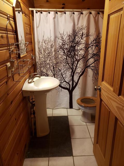 1646 W Dowling Rd, Dowling, MI 49050 photo 9
