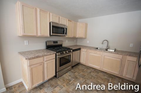 609 Charles St, Belding, MI 48809 photo 17
