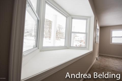 609 Charles St, Belding, MI 48809 photo 33