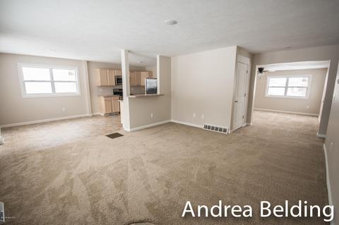 609 Charles St, Belding, MI 48809 photo 13
