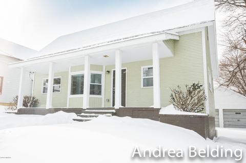 609 Charles St, Belding, MI 48809 photo 2