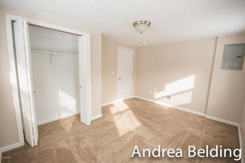 609 Charles St, Belding, MI 48809 photo 22