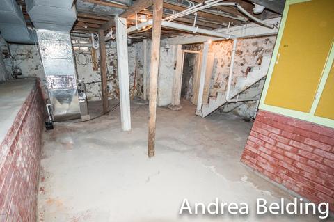 609 Charles St, Belding, MI 48809 photo 32
