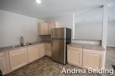 609 Charles St, Belding, MI 48809 photo 18