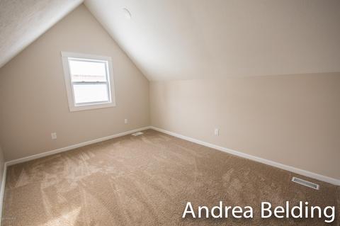 609 Charles St, Belding, MI 48809 photo 26