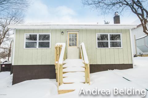 609 Charles St, Belding, MI 48809 photo 8