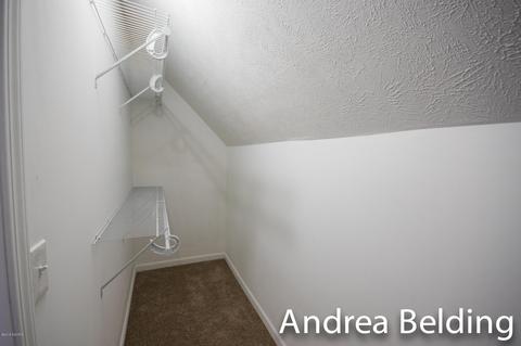 609 Charles St, Belding, MI 48809 photo 28
