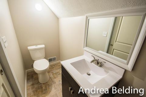609 Charles St, Belding, MI 48809 photo 29