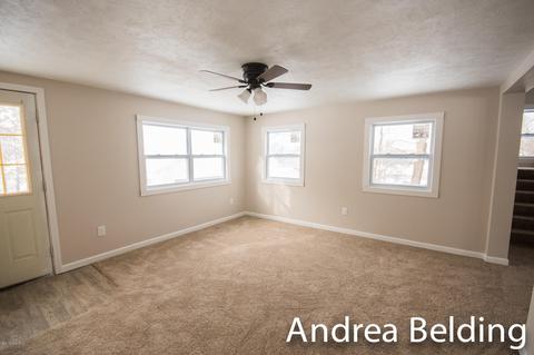 609 Charles St, Belding, MI 48809 photo 21