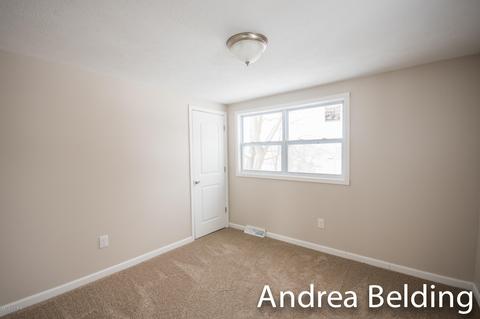 609 Charles St, Belding, MI 48809 photo 11