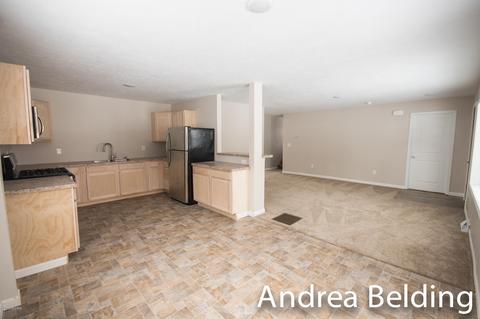 609 Charles St, Belding, MI 48809 photo 15