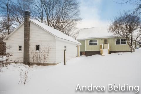 609 Charles St, Belding, MI 48809 photo 7