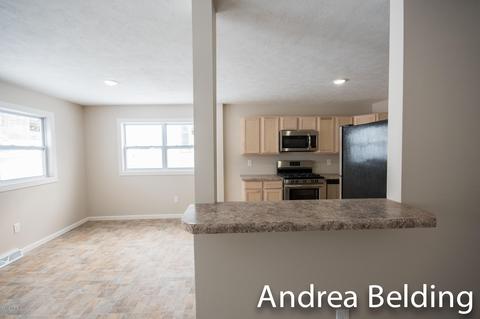 609 Charles St, Belding, MI 48809 photo 19