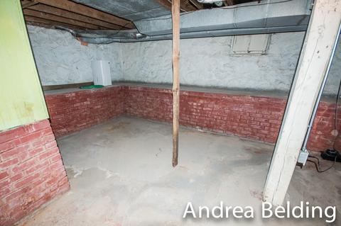 609 Charles St, Belding, MI 48809 photo 31