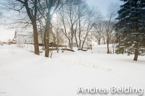 609 Charles St, Belding, MI 48809 photo 34